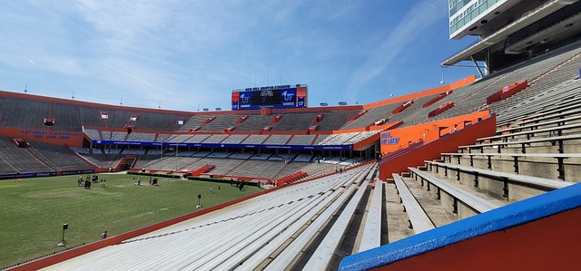 萊萬多夫斯 萊萬多夫斯