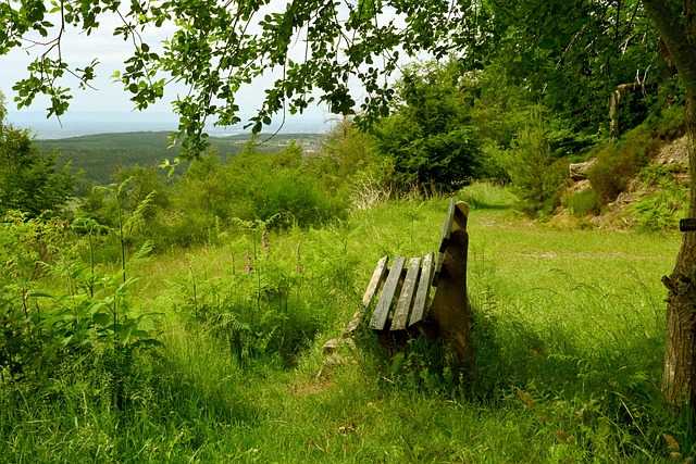 的不公正判 的不公正判