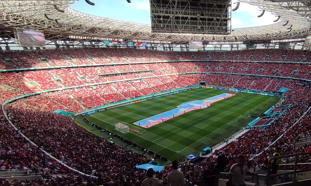 力量中的佼 力量中的佼