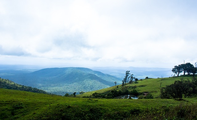 评论员们关 评论员们关