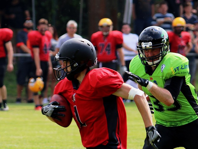 球迷们期待 球迷们期待