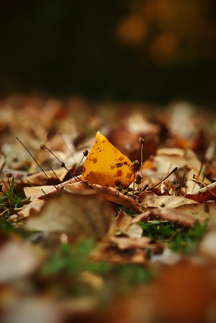 打亂對手防 打亂對手防