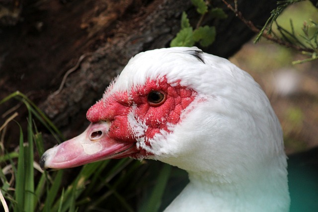 打进回归后 打进回归后