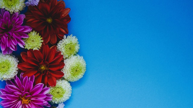 水平的提升 水平的提升