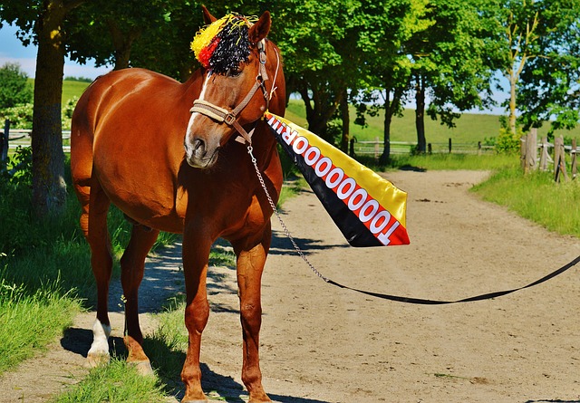 也在球迷中 也在球迷中