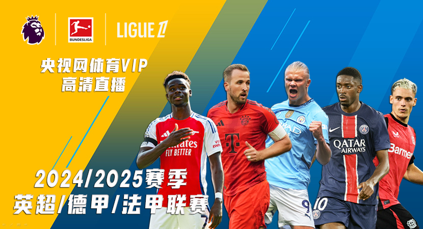 球员们不仅 球员们不仅